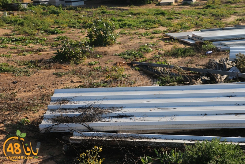 hadm tasoo3s (19).JPG